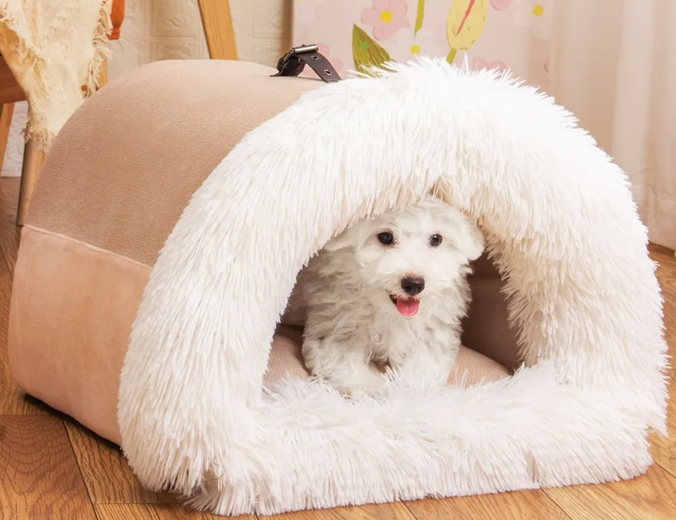 Small Dog Bed - House
