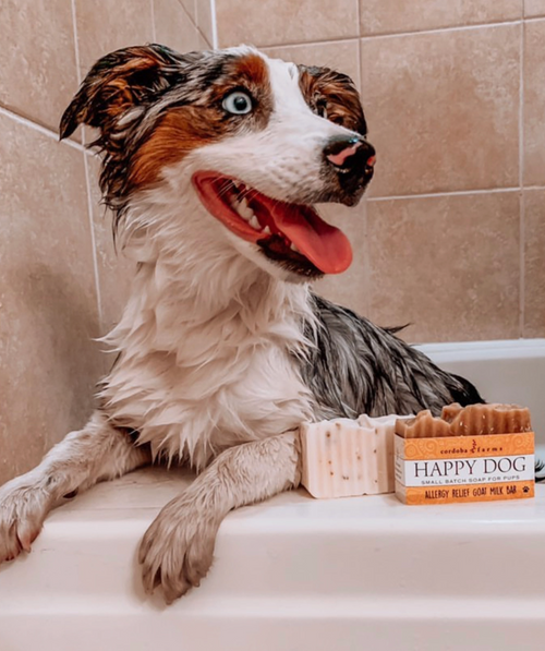 Dog Allergy Relief Shampoo