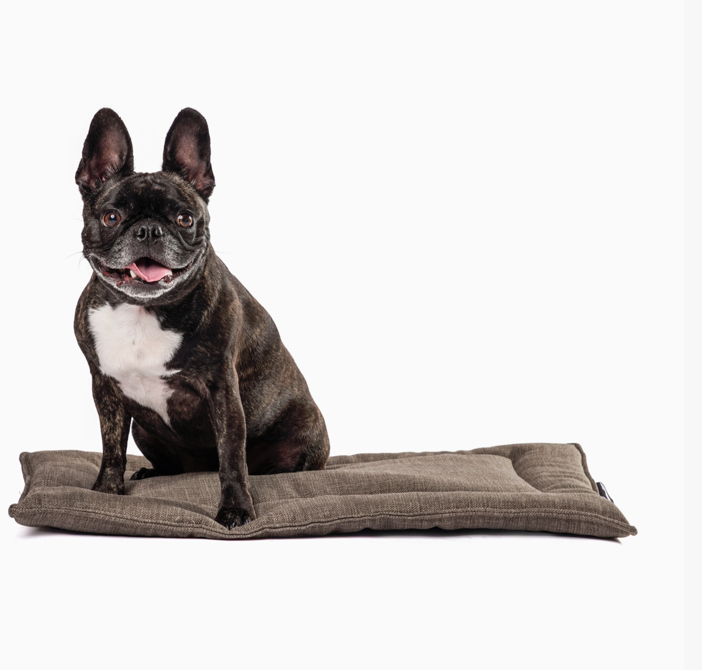 Dog Bed | Dog Crate Pad