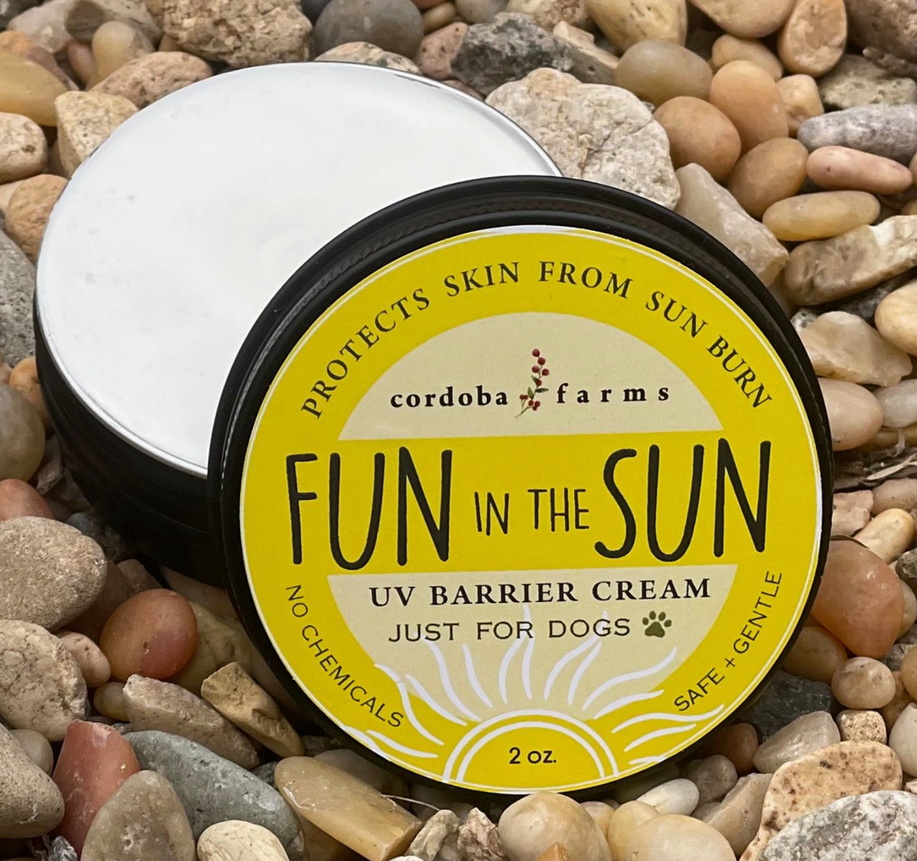 Sunblock for Dogs