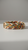 Handwoven Leather Dog Collar