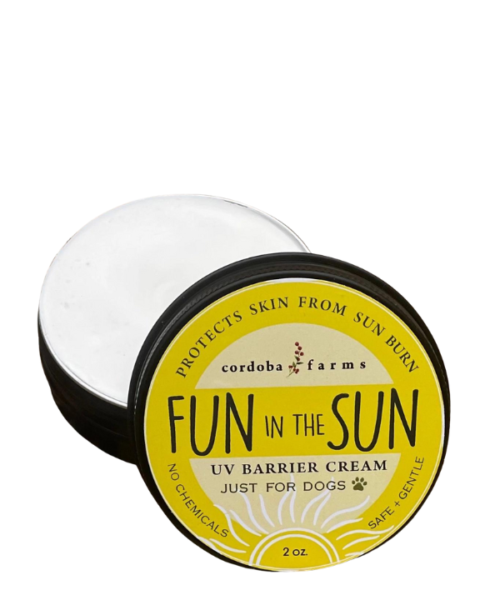 Fun in the Sun UV Barrier Cream